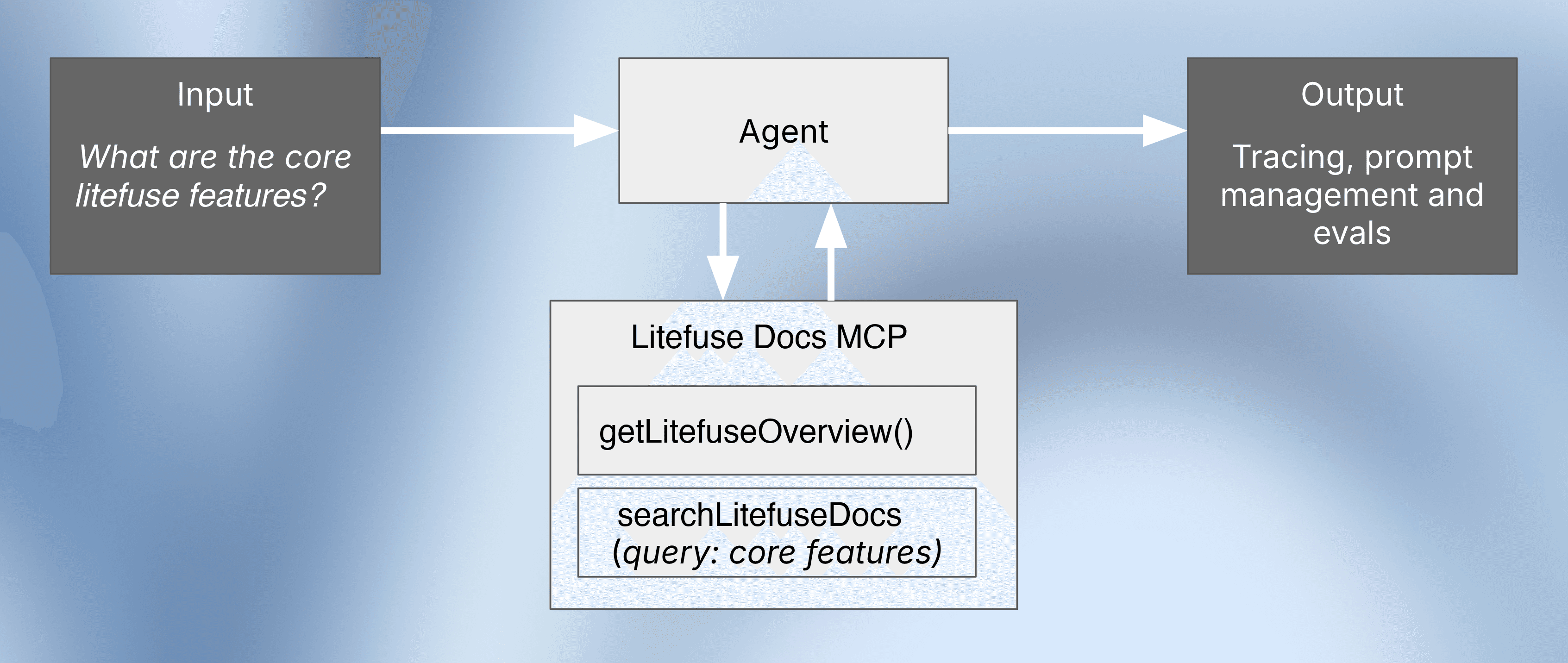 LLM Agent