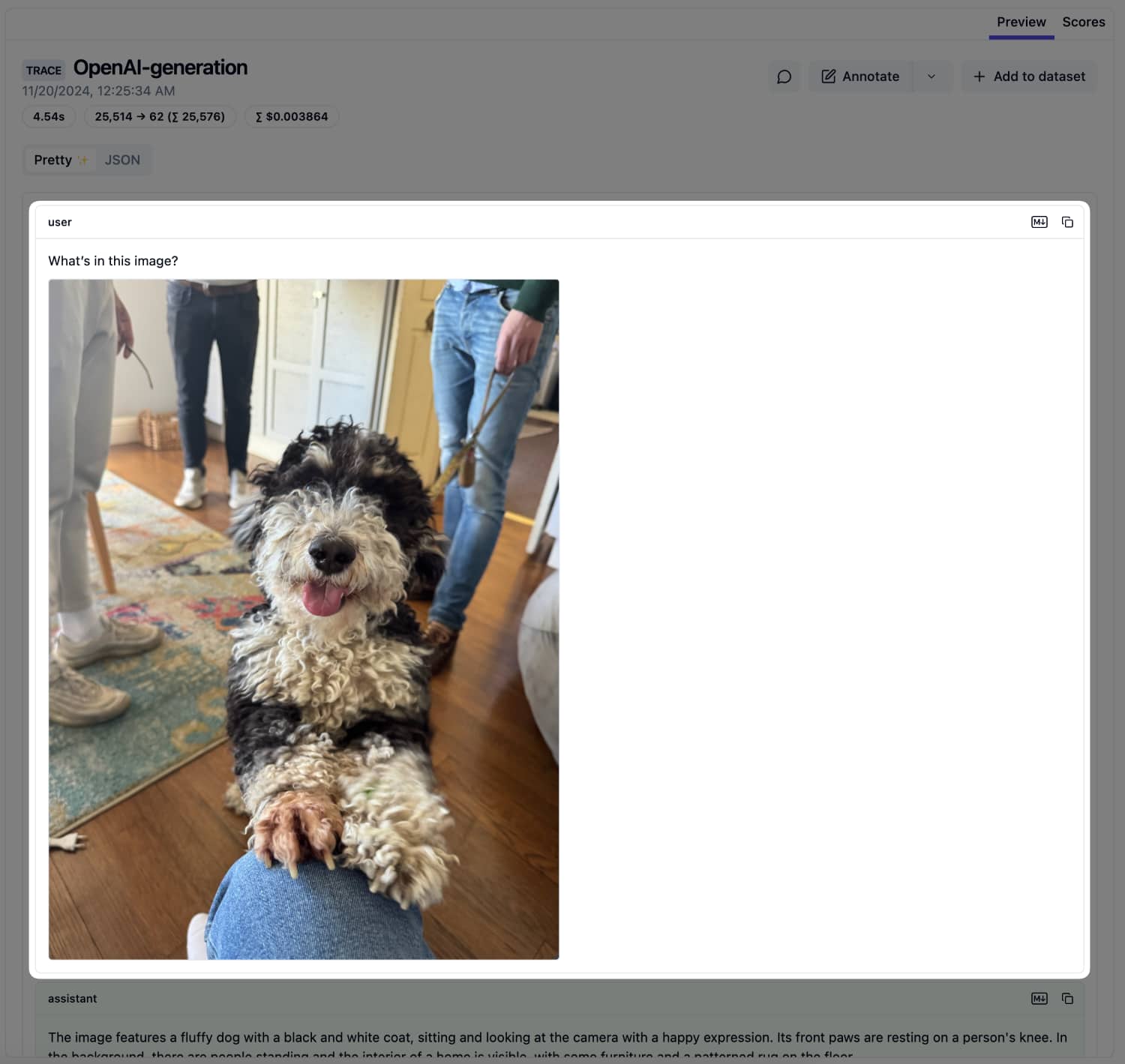 Trace in Litefuse UI