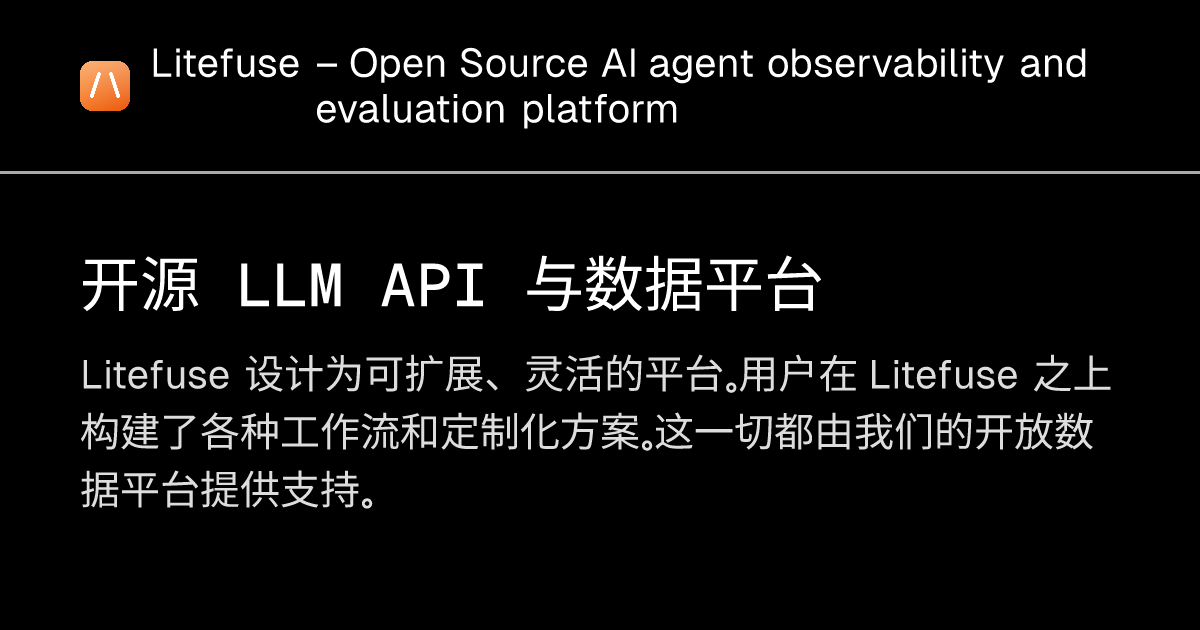 开源 LLM API 与数据平台 - Litefuse