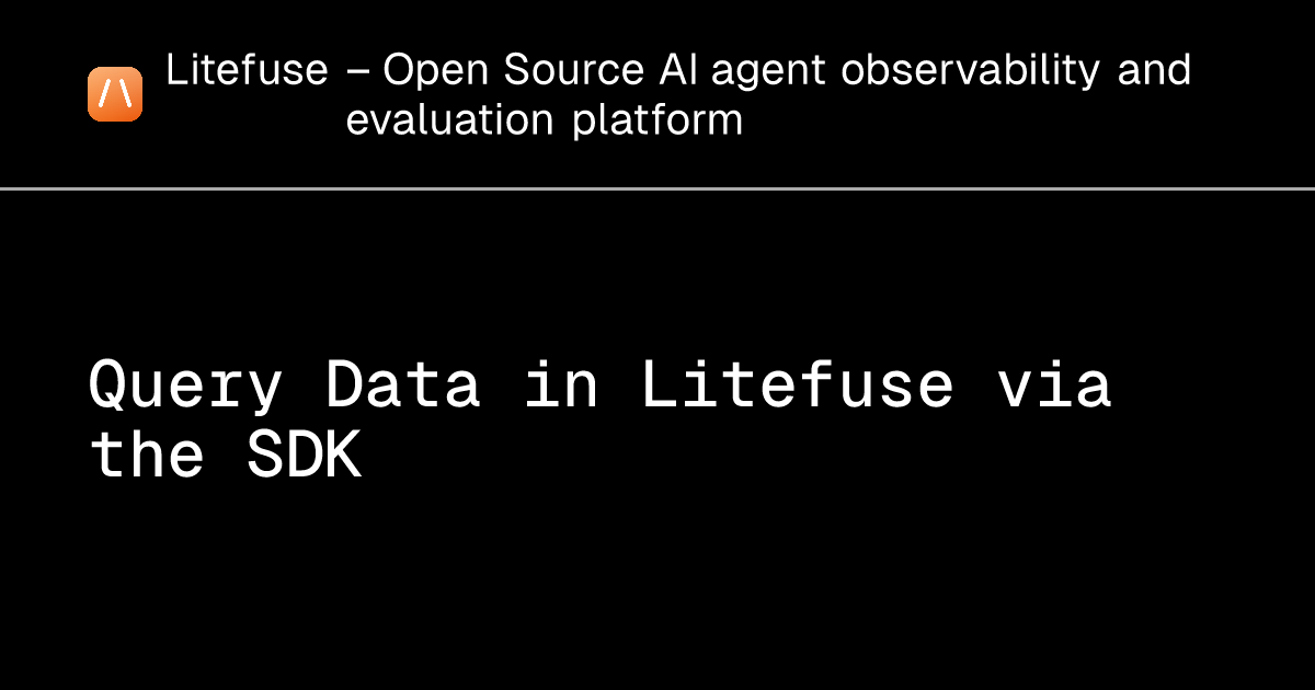 Query Data in Litefuse via the SDK - Litefuse